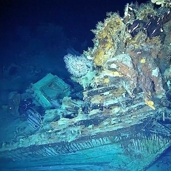 Se bilderna från det mytomspunna vraket San José på havets botten som tros vara värt flera miljarder.