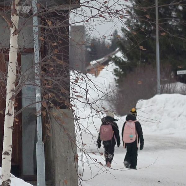 Två skolbarn med rosa ryggsäckar fotograferade bakifrån i vinterlandskap.