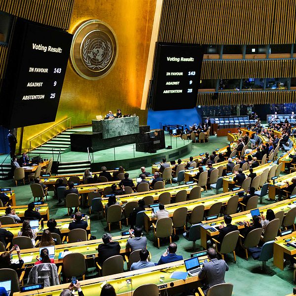 FN omröstning