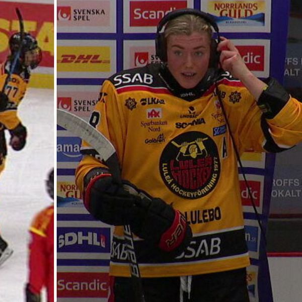 Hockeyspelare i Brynäs och Luleå.
