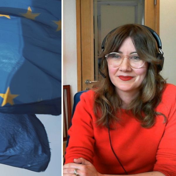 EU-flagga och Ebba Bjerkander