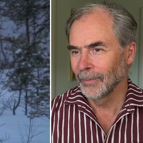 En varg i snö samt porträtt på Värmlands landshövding georg Andrén.