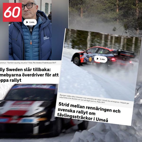 Olika rubriker som visar på konflikten mellan rennäring och rallyarrangörer i Umeå. I bakgrunden en rallybil som kör på en vintrig skogsväg.