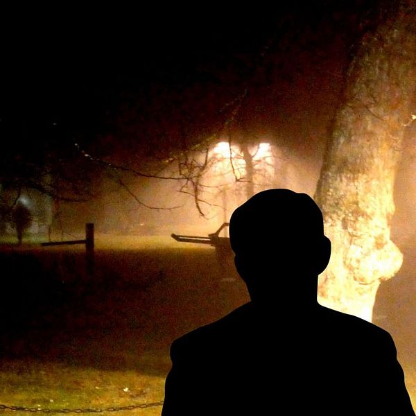 En mörk siluett i skogsmiljö, upplyst bakifrån av gatulampa i dimma.