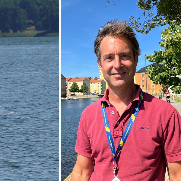 En fritidsbåt till vänster och en man till höger