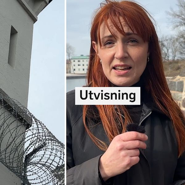 SVT:s reporter förklarar utvisningsbeslut, fängelsetorn och taggtråd syns i bild.