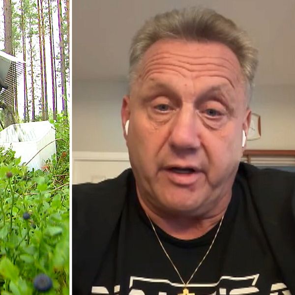 Tvådelad bild. Vänster: Person plockar bär i skog. Höger: En bild på en medelålders man tagen med en webkamera.