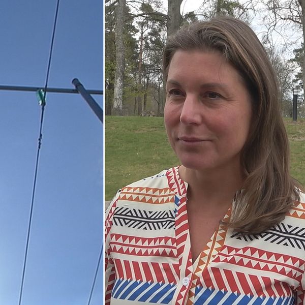 Delad bild: till vänster elledningar, till höger en bild på regionrådet Anna Jähnke (M)