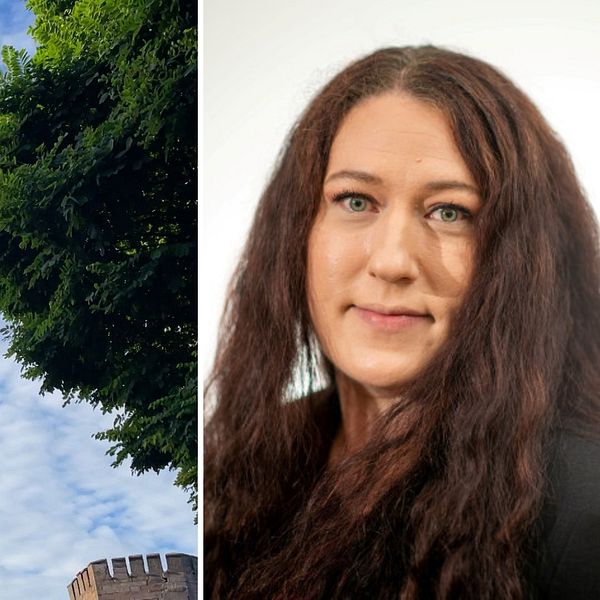 vattenborgen och sanna svennesson