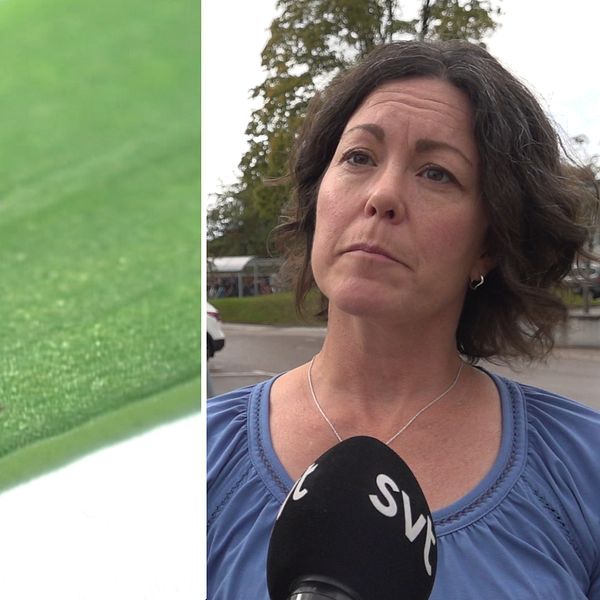 Till vänster en bild på en fästing. Till höger smittskyddsläkaren Maria Ryberg Mo