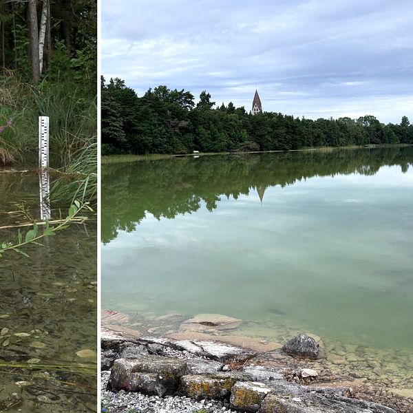 Man pekar ut höjd vattennivå i Tingstäde träsk efter mer regn i juli