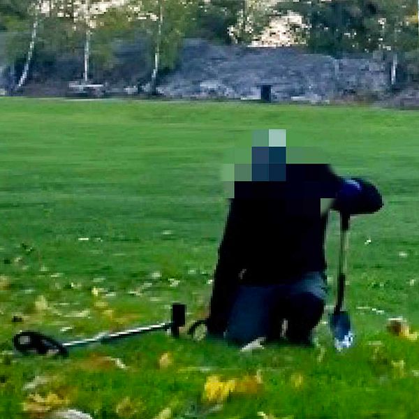 En delad bild som visar en person som använder en metalldetektor i en grön park. Den vänstra sektionen visar personen som går över gräset med detektorn i handen. Den högra sektionen visar samma person knästående, med fokus på detektorn som ligger på marken, omgiven av löv.