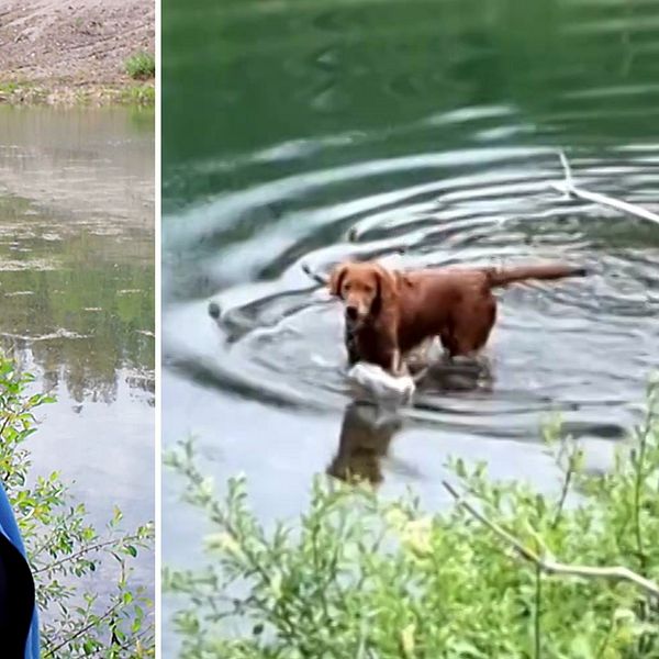 Kvinna som gråter och hund i vatten.