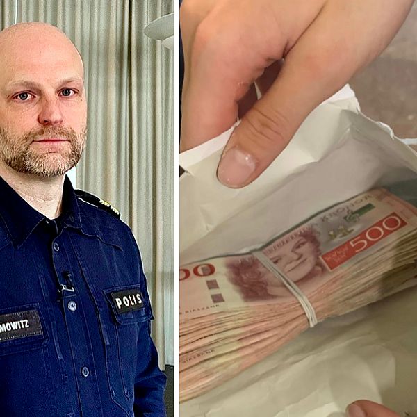 Dollar och sedlar som smugglar ut från Sverige.