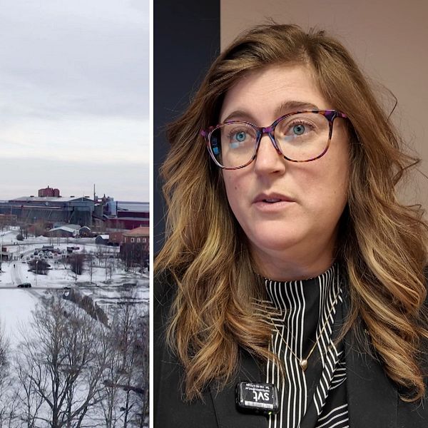 Delad bild. Till vänster: vintervy över industriområde. Till höger: person med långt blont hår.