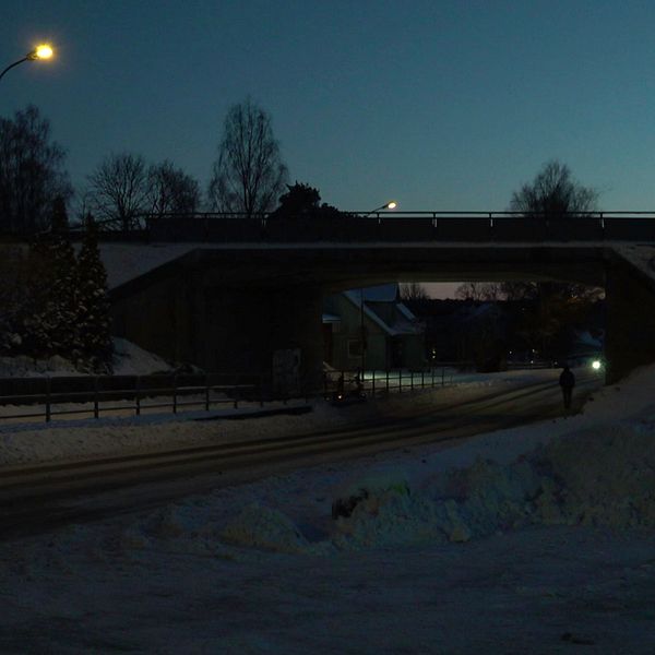Jakob mördades i en gångtunnel i Örkelljunga – mitt framför ögonen på sina vänner.