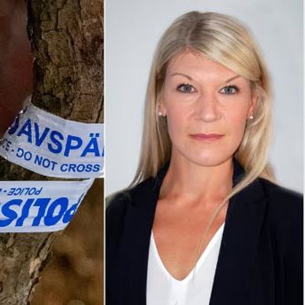 En delad bild som visar en närbild av ett träd med avspärrningsband som är märkta ”POLISAVSPÄRAT – DO NOT CROSS” och åklagare Emma Harrius i affärskläder.