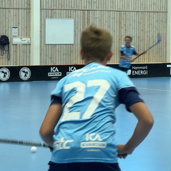 Samsyn-projektet tillåter värmländska barn testa olika idrotter