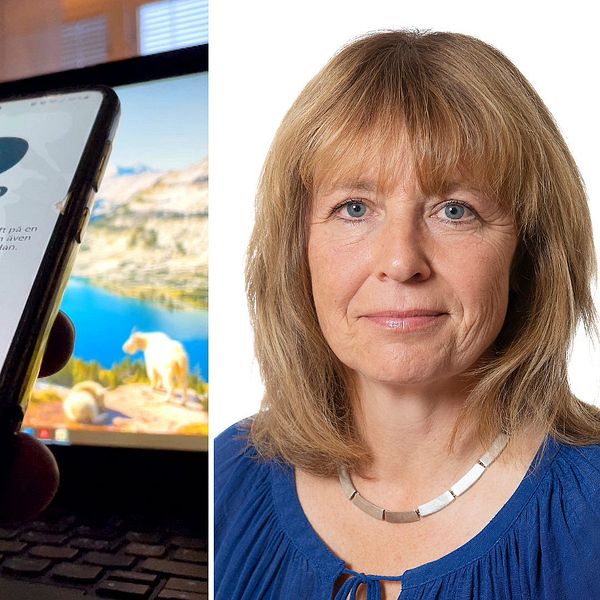 En mobiltelefon som visar BankID-appen hålls i handen i en miljö med en dator i bakgrunden.