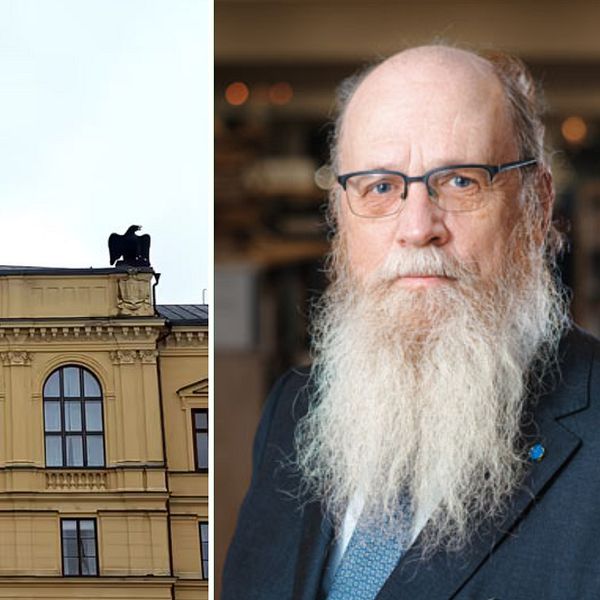 Sunnepolitikern Lennart Eriksson, avhoppad Sverigedemokrat som i dag är politisk vilde, tvingas lämna sina uppdrag som nämndeman i Förvaltningsrätten och Värmlands tingsrätt efter att ha befunnits olämplig.