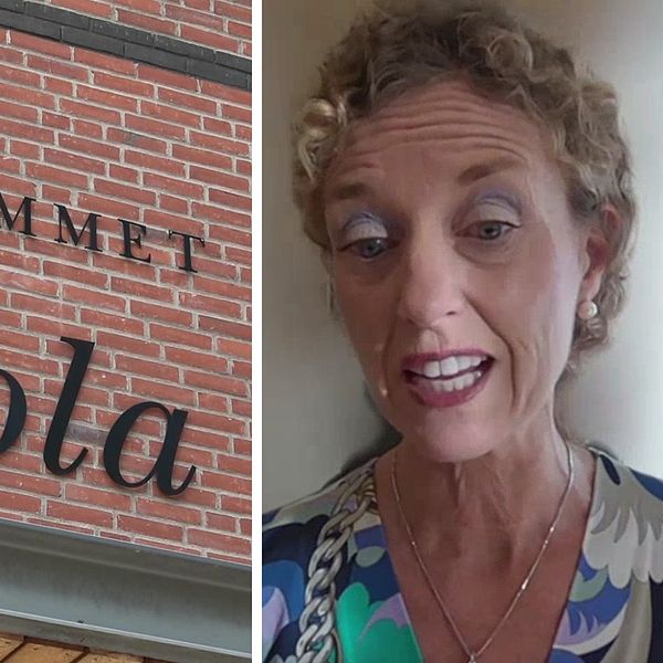 Sophiahemmet högskolas rektor