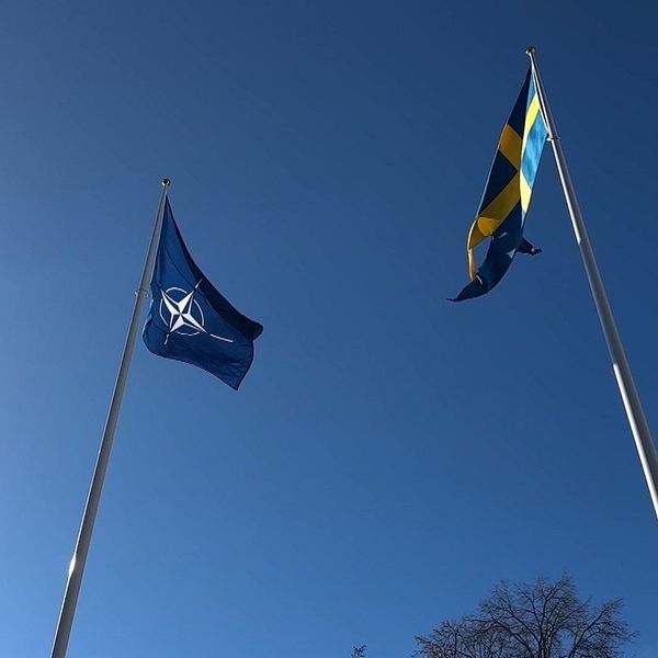 En major i basker framför gul byggnad och en Natoflagga och en svensk flagga framför rådhuset i Kristinehamn