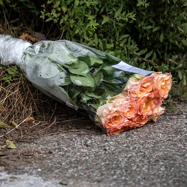 En bukett med rosor i plastfolie ligger på marken bredvid en annan blomsterrangering av olika färger, omgiven av grönska.
