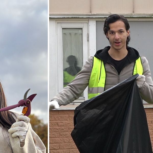 Asad Dahir Issa, Auda Gozi Karia och Abbas Ibrahimi arbetar i en trädgård för Stadsmissionen i Linköping