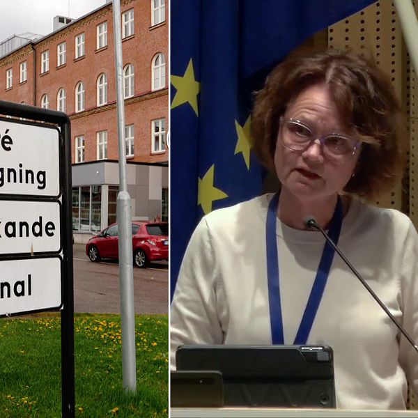 Anna-Karin Skatt (S)