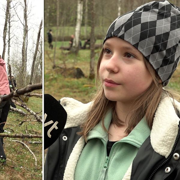 Delad bild. Vänster: barn samlar grenar i skog. Höger: person intervjuas utomhus.