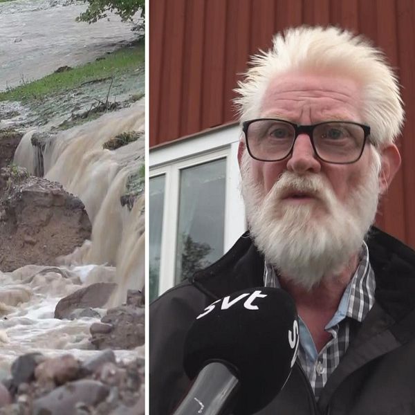 Till vänster syns en gräsmatta som förstörts av översvämningarna i Rättvik. Till höger syns Gert Fredriksson som fick sin tomt förstörd samt källaren fylld med vatten.