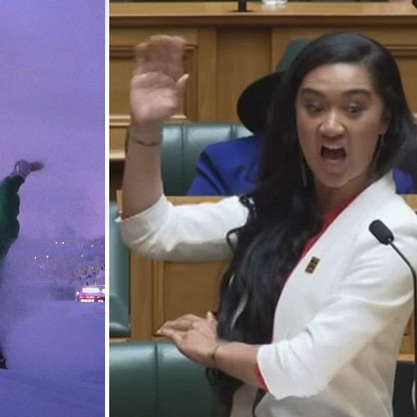 Örnar som attackerar renar på norsk sida, extremkyla i Kiruna och den maoriska parlamentsledamoten Hana-Rawhiti Maipi-Clarke medverkar i några av de mest tittade klippen på SVT Sápmi 2024.