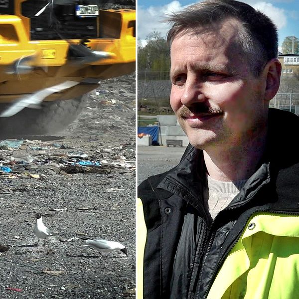 Fredrik Berggren vid sopor i hamnen och en grävmaskin i bakgrunden