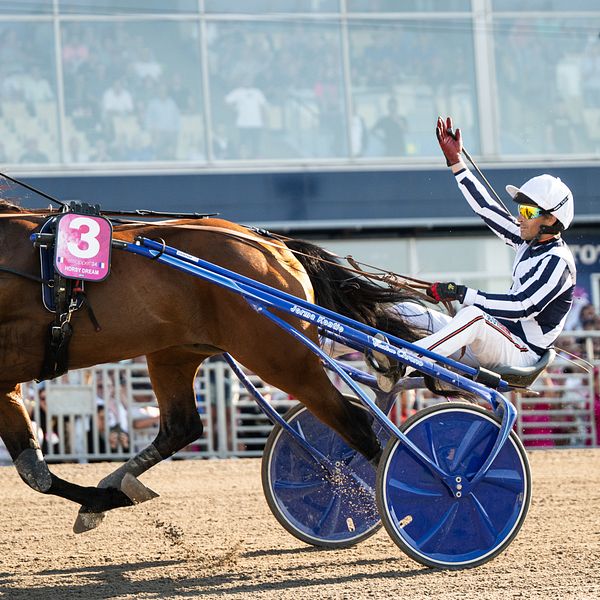 Horsy Dream vinner Elitloppet 2024