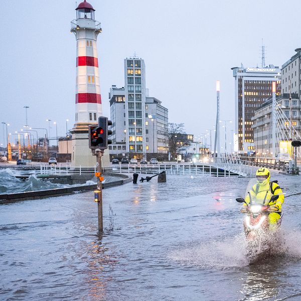 Se bilderna efter stormen Pias härjningar i bland annat Malmö.