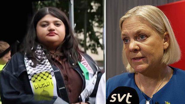 Suniy mushuklar qanday tayyorlanadi?