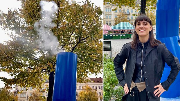 elfbar elfa master akku Resa med skjutvapen för jakt eller tävling