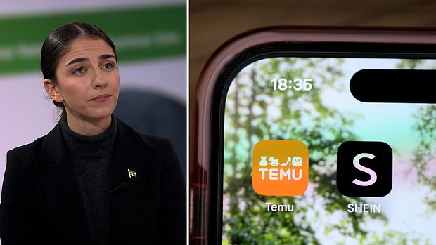 Ministra Romina Pourmokhtari, Shein y Temu, imagen de SVT