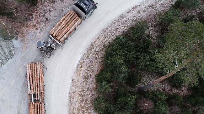 En timmerbil lastar timmer vid en avverkning i en skog i Enköping. Trävaror och pappersmassa är viktiga för svensk export.