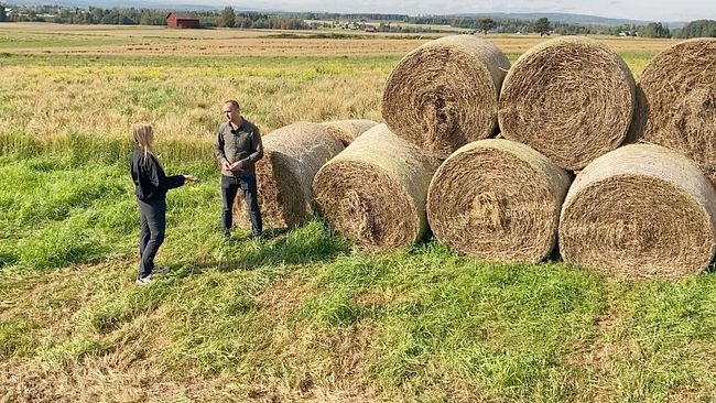 två personer som står på ett fält och pratar, skördat hö i rullar ligger intill dem