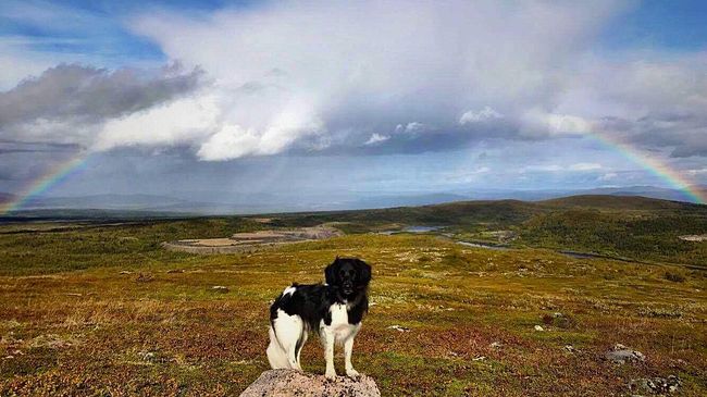 Berget Luossavaara i Kiruna