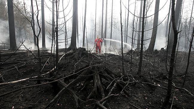 Släckningsarbetet fortsätter i det brandhärjade området. 200 personer kämpade på marken med att hålla elden i schack.