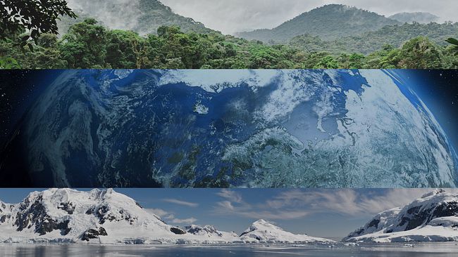 Regnskog, polarisar och ett jordklot. Följ senaste nytt om klimatkrisen.