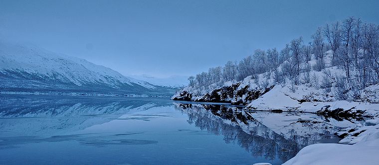 Foto: Sam Hedman