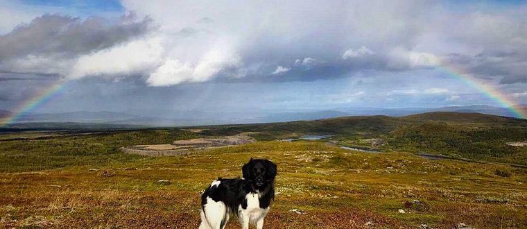 Berget Luossavaara i Kiruna