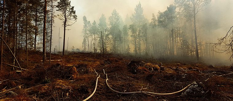 Tjock brandrök stiger från marken i skogen vid bränderna i Jämtlands län.