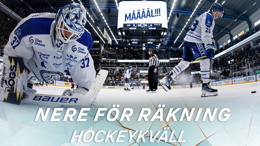 Ett besökarinlägg i "Ishockey Följ SHL 2024/2025" SVT Sport
