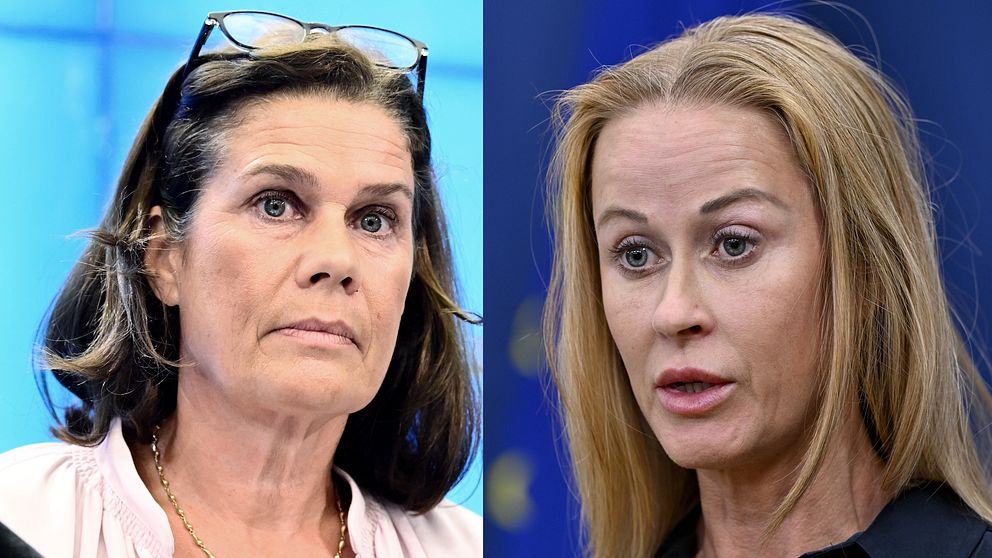 Elsa Widding anklagar Åkesson för lögner – har fått hotvåg efter mutanklagelser — image 6