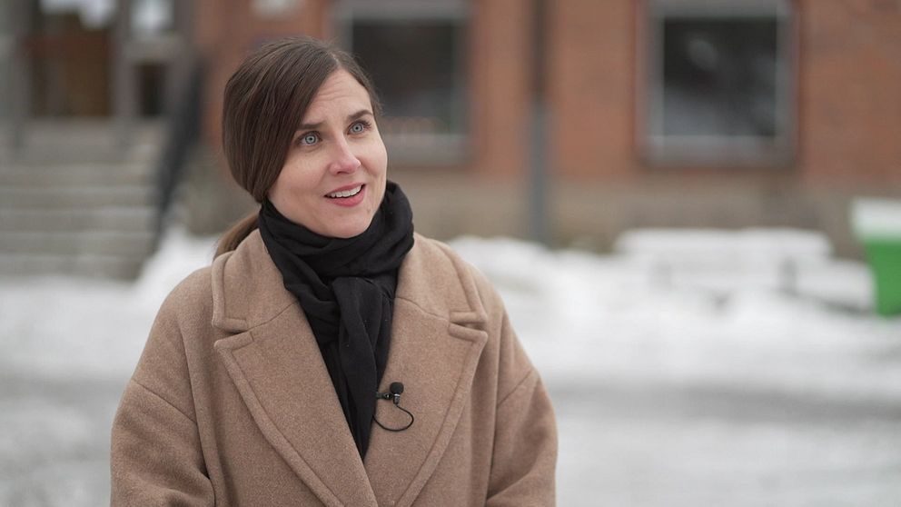 Professor i atmosfärvetenskap vid Stockholms universitet