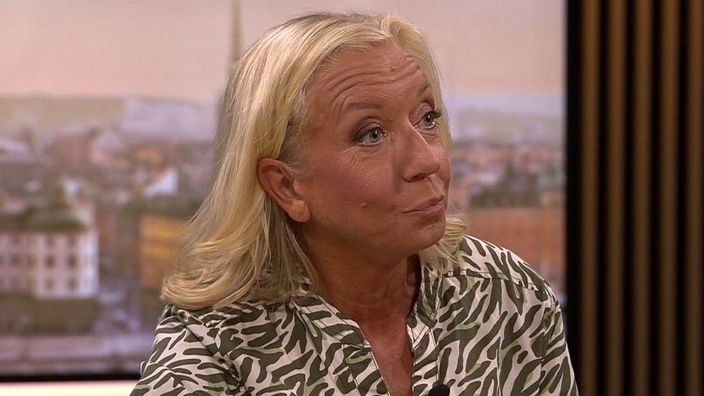 Elisabeth Marmorstein i SVT:s politikstudio om debatten i riksdagen